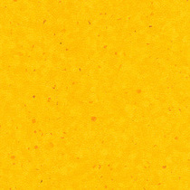 0231 Yellow 0231 Yellow